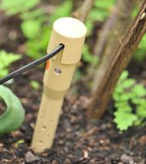 deep root watering stakes