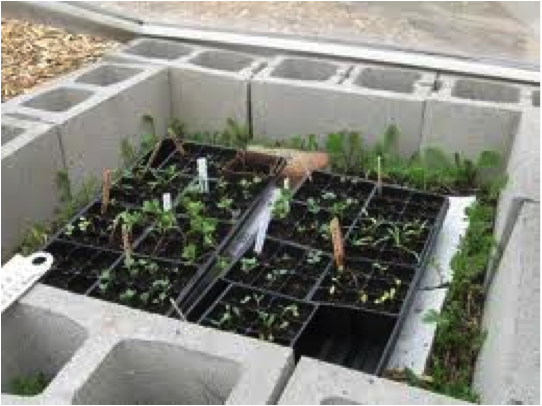 March into Spring with a Cold Frame!