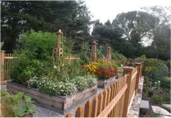 Treat Yourself to a Raised Bed Edible Landscape: It’s Good for You and the Environment